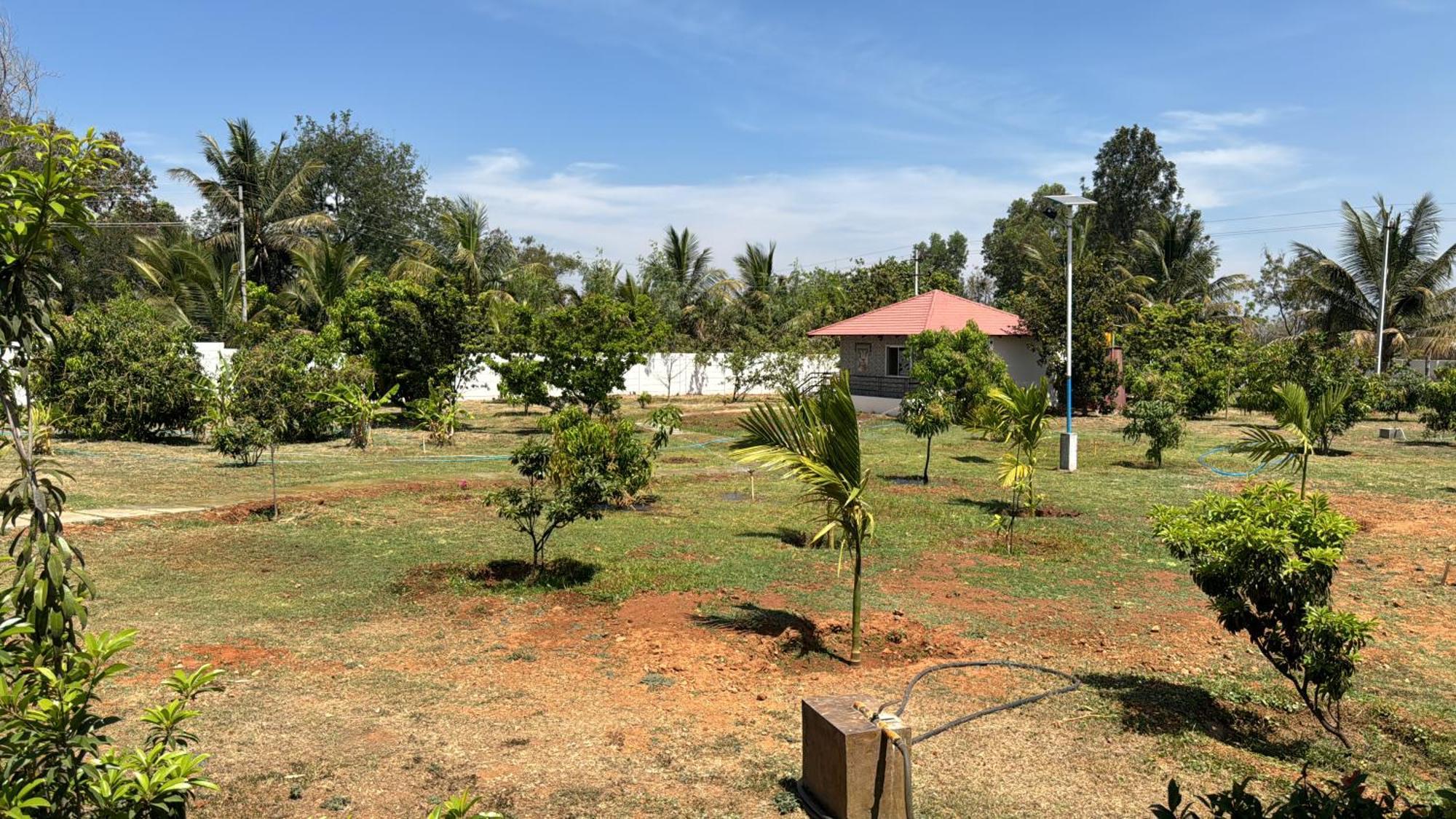 Raj Home Stay Mysore Eksteriør bilde