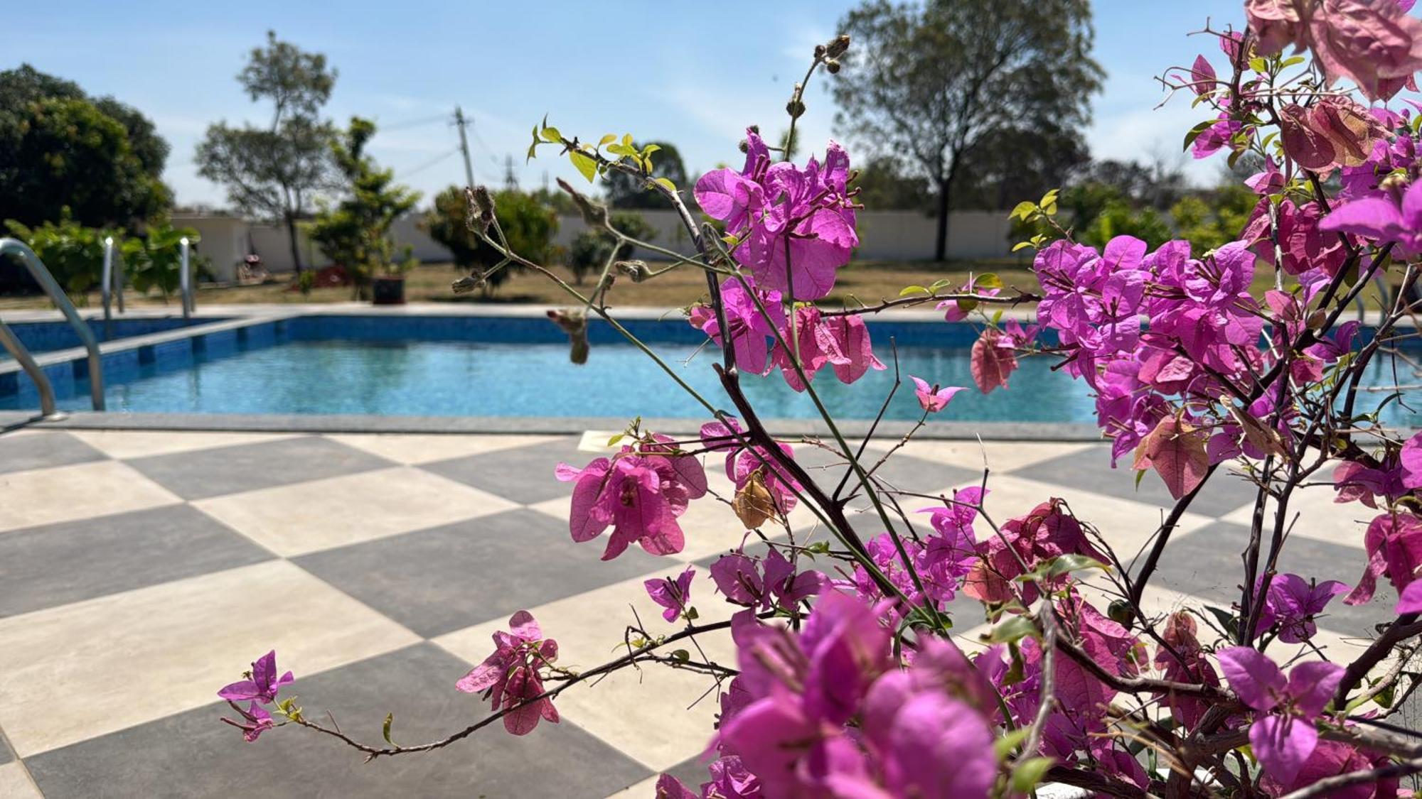 Raj Home Stay Mysore Eksteriør bilde